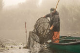 pescar plase delta dunarii barca ceata