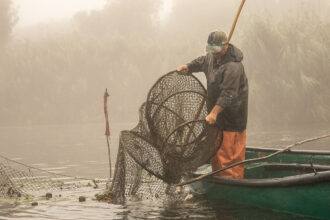 pescar plase delta dunarii barca ceata