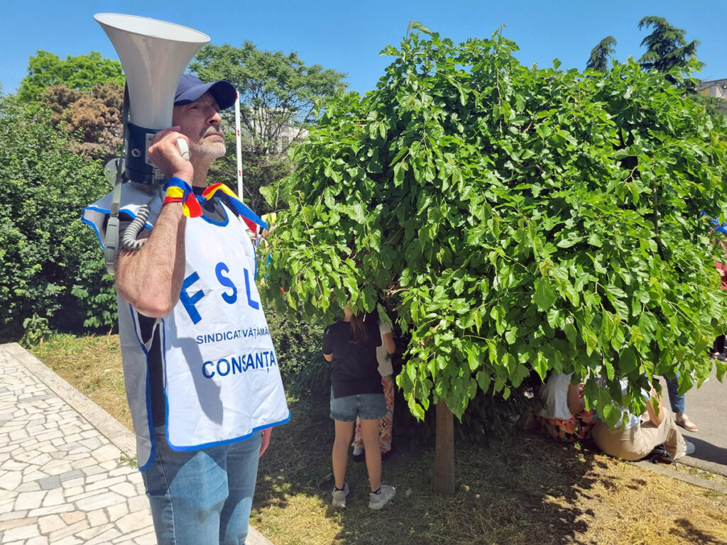 fsli protest constanta profesori