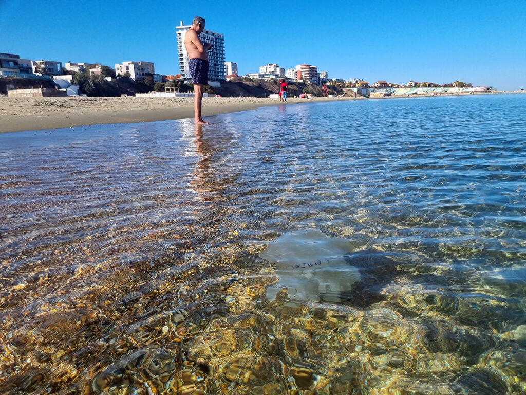 plaja mamaia constanta marea neagra meduza