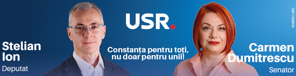 publicitate electorală